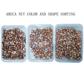 High Efficiency Optical Color Sorter For Walnut / Pecan / Almond Classification