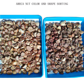 High Efficiency Optical Color Sorter For Walnut / Pecan / Almond Classification