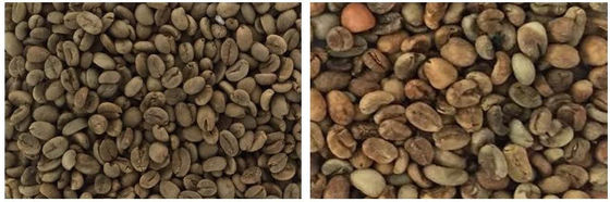 Food Processing CCD Sensor 300kg/H Coffee Sorting Machine