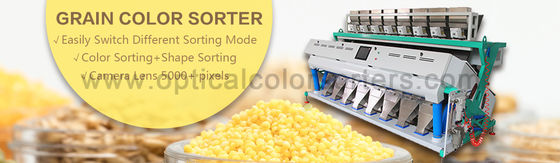 Food Industry RGB Optical CCD Grain Sorting Machine
