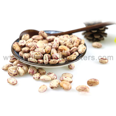 Nuts Processing CCD Pluses 3T/H Optical Sorting Machine