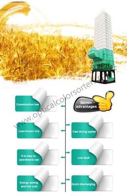 Rice Mill Machine Paddy Dryer 15 Ton Rice Paddy Dryer