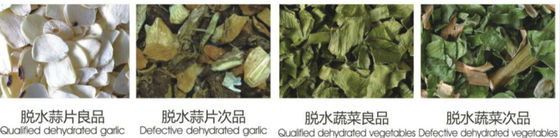 Belt Type Color Sorter for Dehydrated Vegetables