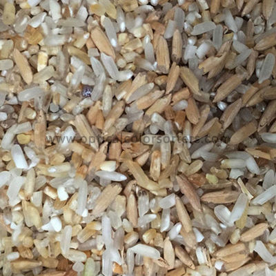 High Output CCD Rice Sorting Machine 8 Chute Intelligent Operation Interface
