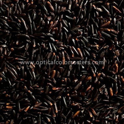 High Capacity Rice CCD Camera Color Sorter With High Accuracy Intelligent Operation System
